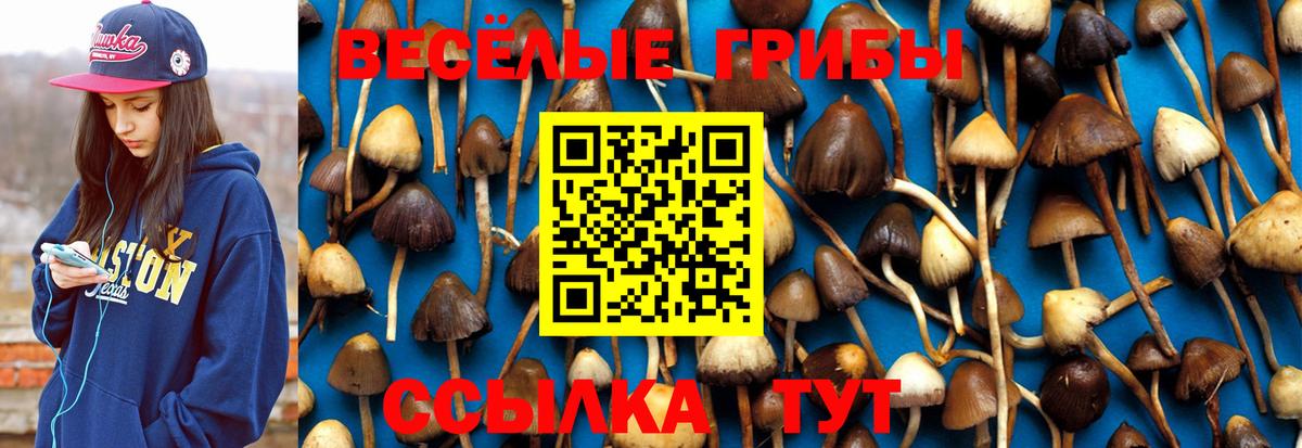 Псилоцибиновые грибы мицелий  Вход с VPN  Псилоцибиновые грибы Cubensis  Пятигорск 